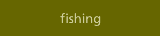 fishing in ontario